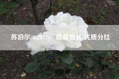苏泊尔(002032)：稳健增长 优质分红