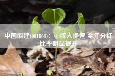 中国能建(601868)：Q4收入提速 全年分红比率明显提升
