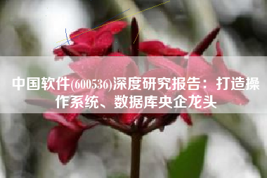 中国软件(600536)深度研究报告：打造操作系统、数据库央企龙头
