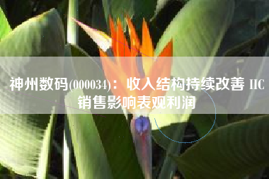 神州数码(000034)：收入结构持续改善 IIC销售影响表观利润
