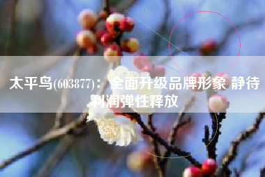 太平鸟(603877)：全面升级品牌形象 静待利润弹性释放
