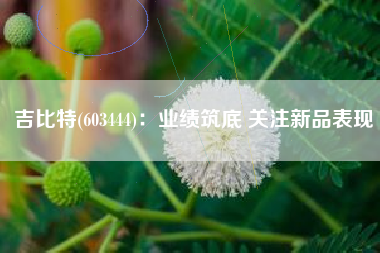吉比特(603444)：业绩筑底 关注新品表现