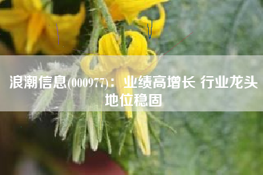浪潮信息(000977)：业绩高增长 行业龙头地位稳固