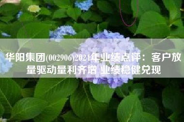 华阳集团(002906)2024年业绩点评：客户放量驱动量利齐增 业绩稳健兑现