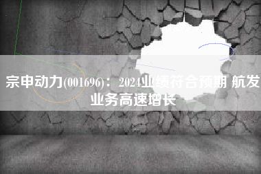 宗申动力(001696)：2024业绩符合预期 航发业务高速增长