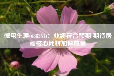 微电生理(688351)：业绩符合预期 期待房颤核心耗材加速放量