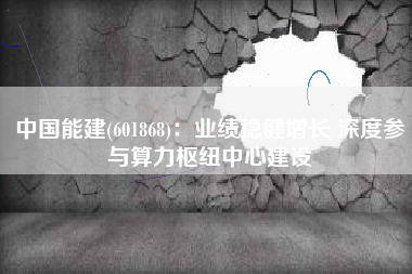 中国能建(601868)：业绩稳健增长 深度参与算力枢纽中心建设