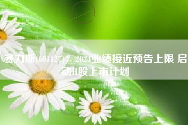 赛力斯(601127)：2024业绩接近预告上限 启动H股上市计划