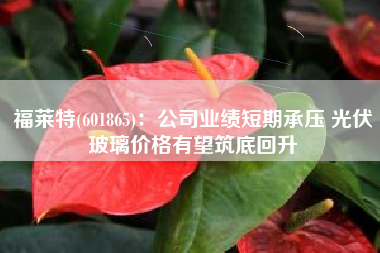 福莱特(601865)：公司业绩短期承压 光伏玻璃价格有望筑底回升