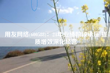用友网络(600588)：24年业绩阶段承压 提质增效深化经营