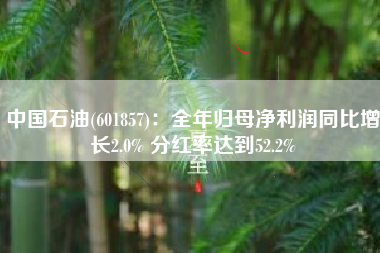 中国石油(601857)：全年归母净利润同比增长2.0% 分红率达到52.2%