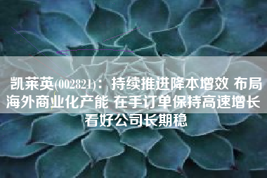 凯莱英(002821)：持续推进降本增效 布局海外商业化产能 在手订单保持高速增长 看好公司长期稳
