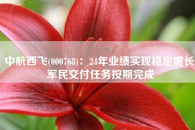 中航西飞(000768)：24年业绩实现稳定增长 军民交付任务按期完成