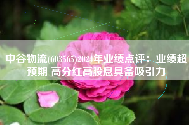 中谷物流(603565)2024年业绩点评：业绩超预期 高分红高股息具备吸引力