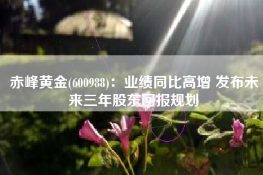 赤峰黄金(600988)：业绩同比高增 发布未来三年股东回报规划