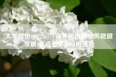 大华股份(002236)：海外和创新业务稳健发展 重点布局AI应用落地