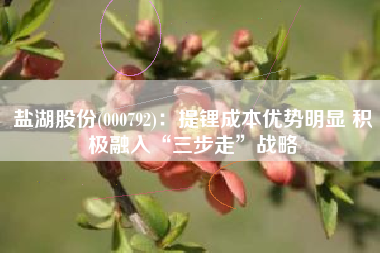 盐湖股份(000792)：提锂成本优势明显 积极融入“三步走”战略