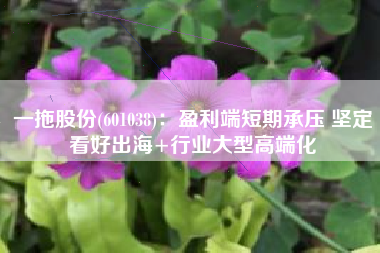 一拖股份(601038)：盈利端短期承压 坚定看好出海+行业大型高端化