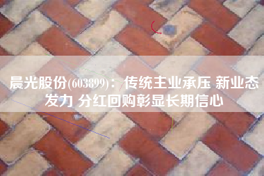 晨光股份(603899)：传统主业承压 新业态发力 分红回购彰显长期信心