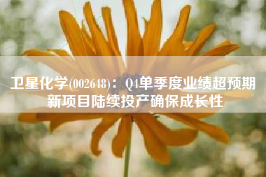 卫星化学(002648)：Q4单季度业绩超预期 新项目陆续投产确保成长性