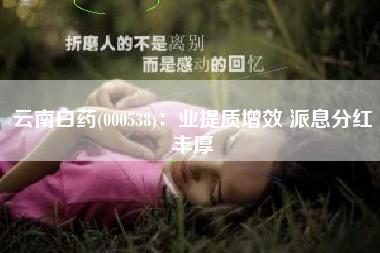 云南白药(000538)：业提质增效 派息分红丰厚