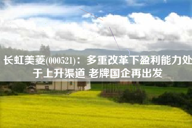 长虹美菱(000521)：多重改革下盈利能力处于上升渠道 老牌国企再出发