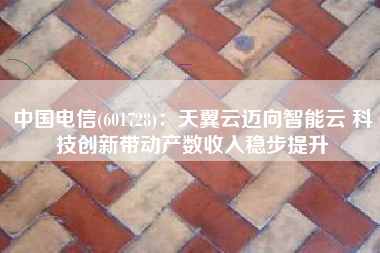 中国电信(601728)：天翼云迈向智能云 科技创新带动产数收入稳步提升