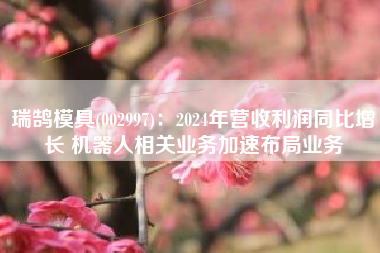 瑞鹄模具(002997)：2024年营收利润同比增长 机器人相关业务加速布局业务