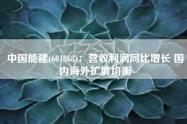 中国能建(601868)：营收利润同比增长 国内海外扩展均衡