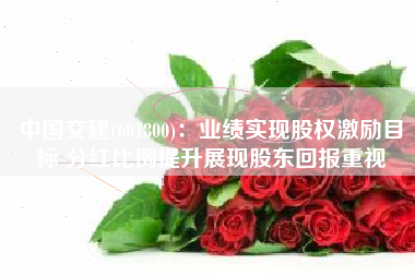 中国交建(601800)：业绩实现股权激励目标 分红比例提升展现股东回报重视
