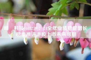 峰岹科技(688279)：24全年业绩稳健增长 稳步推进港股上市未来可期