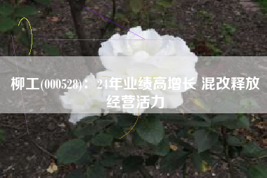柳工(000528)：24年业绩高增长 混改释放经营活力