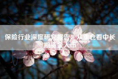 保险行业深度研究报告：从重仓看中长期资金入市