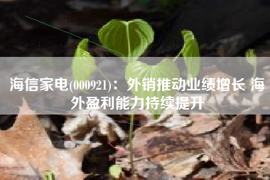 海信家电(000921)：外销推动业绩增长 海外盈利能力持续提升