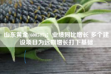 山东黄金(600547)：业绩同比增长 多个建设项目为远期增长打下基础