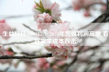 生益科技(600183)：2024年营收利润高增 看好需求成本双击