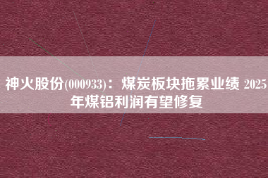 神火股份(000933)：煤炭板块拖累业绩 2025年煤铝利润有望修复