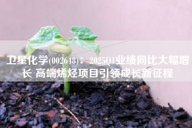 卫星化学(002648)：2025Q1业绩同比大幅增长 高端烯烃项目引领成长新征程