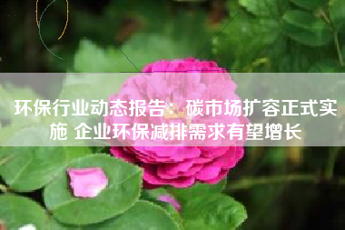 环保行业动态报告：碳市场扩容正式实施 企业环保减排需求有望增长