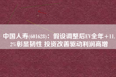 中国人寿(601628)：假设调整后EV全年+11.2%彰显韧性 投资改善驱动利润高增