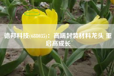 德邦科技(688035)：高端封装材料龙头 重启高成长