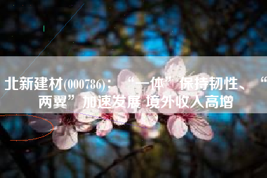 北新建材(000786)：“一体”保持韧性、“两翼”加速发展 境外收入高增
