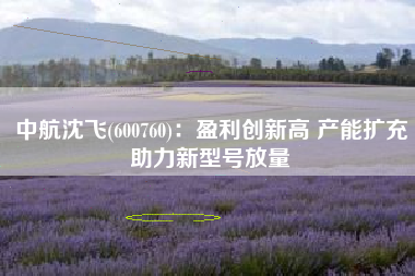 中航沈飞(600760)：盈利创新高 产能扩充助力新型号放量