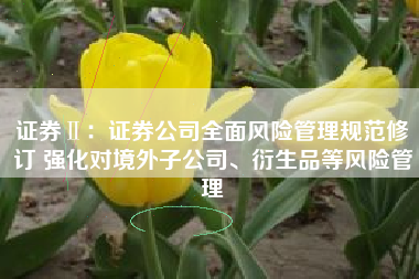 证券Ⅱ：证券公司全面风险管理规范修订 强化对境外子公司、衍生品等风险管理