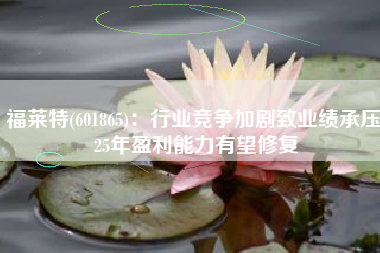 福莱特(601865)：行业竞争加剧致业绩承压 25年盈利能力有望修复