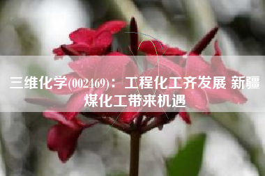 三维化学(002469)：工程化工齐发展 新疆煤化工带来机遇