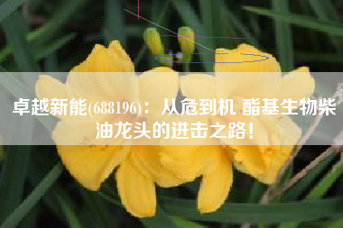 卓越新能(688196)：从危到机 酯基生物柴油龙头的进击之路！