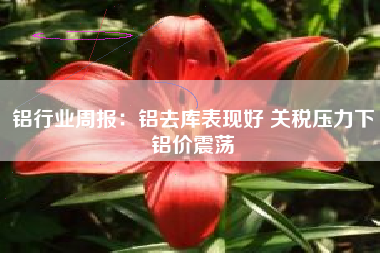 铝行业周报：铝去库表现好 关税压力下铝价震荡