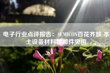 电子行业点评报告：SEMICON百花齐放 本土设备材料零部件突围