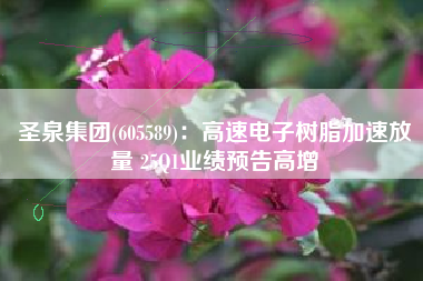 圣泉集团(605589)：高速电子树脂加速放量 25Q1业绩预告高增